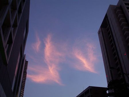 ファイル 2-4.jpg