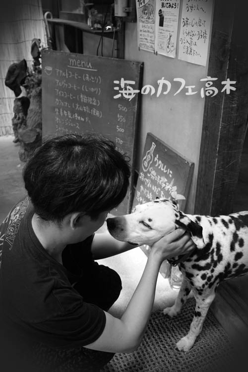 ファイル 377-4.jpg